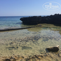 фото из отзыва ID 2036381