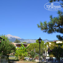 фото из отзыва ID 2036409