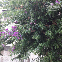 фото из отзыва ID 2036480