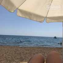 фото из отзыва ID 2036524