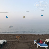 фото из отзыва ID 2036524