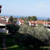 фото из отзыва ID 2036615