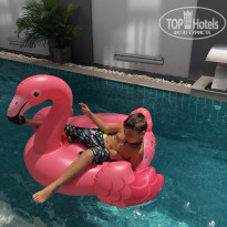 фото из отзыва ID 2036641