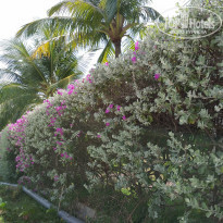 фото из отзыва ID 2036561