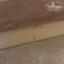 фото из отзыва ID 2036703