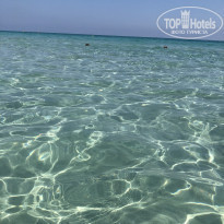 фото из отзыва ID 2036703