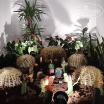 фото из отзыва ID 2036748