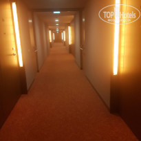 фото из отзыва ID 2036756