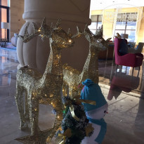 фото из отзыва ID 2036811