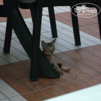 фото из отзыва ID 2036813