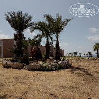 фото из отзыва ID 2036861