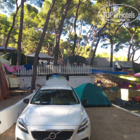 фото из отзыва ID 2036867