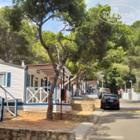 фото из отзыва ID 2036867