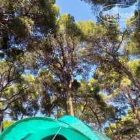 фото из отзыва ID 2036867