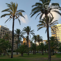 фото из отзыва ID 2036867