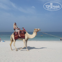 фото из отзыва ID 2036808