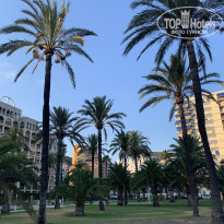 фото из отзыва ID 2036867