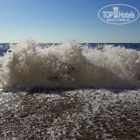 фото из отзыва ID 2036814