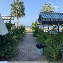 фото из отзыва ID 2036995