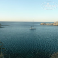 фото из отзыва ID 2037221