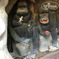 фото из отзыва ID 2037261