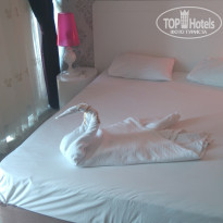 фото из отзыва ID 2037265