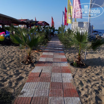 фото из отзыва ID 2036140