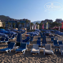 фото из отзыва ID 2036140