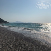 фото из отзыва ID 2037306