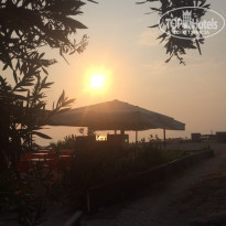 фото из отзыва ID 2037285