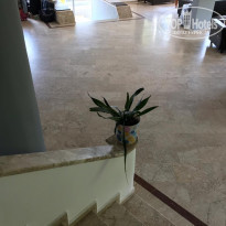 фото из отзыва ID 2037377