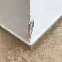 фото из отзыва ID 2037377