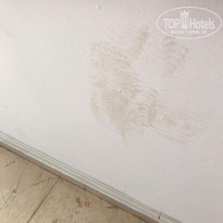 фото из отзыва ID 2037377