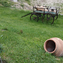 фото из отзыва ID 2036521