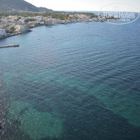 фото из отзыва ID 2037531