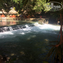 фото из отзыва ID 2037588