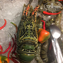 фото из отзыва ID 2037588