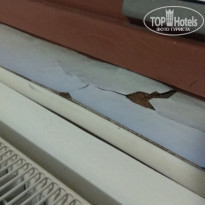 фото из отзыва ID 2037600