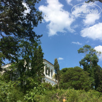 фото из отзыва ID 2037769