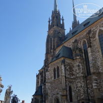 фото из отзыва ID 2037735