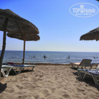 фото из отзыва ID 2033434