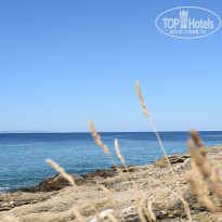 фото из отзыва ID 2037921