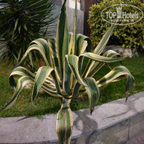 фото из отзыва ID 2035598