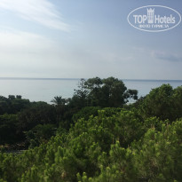 фото из отзыва ID 2038101