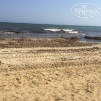 фото из отзыва ID 2038116