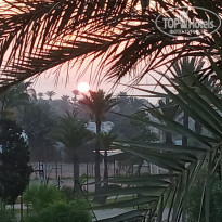 фото из отзыва ID 2038130