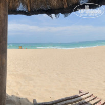 фото из отзыва ID 2038132