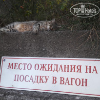 фото из отзыва ID 2038143