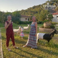 фото из отзыва ID 2038351