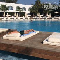 фото из отзыва ID 2038368